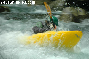 Kayaking in the Smokies for action packed fun.